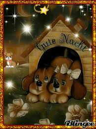 Nach einem langen arbeitstag freut man sich auf die erholsamen stunden zu hause. Ich Wunsche Dir Einen Schonen Abend Gute Nacht Grusse Liebe Gute Nacht Grusse Nacht Grusse