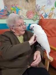 Animal Assisted Therapy (birds) | Uribarren Abaroa eng