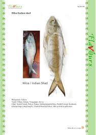 Confused Over Fish Names You will also find a lot of fiery and spicy dishes with a hint of coconut. confused over fish names