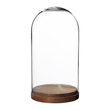 Harliga Glass Dome With Base Clear Glass X 27 Cm Ikea Ireland Glasglocke Ikea Glas