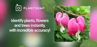 Download apps that you cannot even find in play store search results. Plantsnap 3 00 20 Apk Mod For Android Xdroidapps