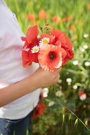 Imprimer noir&blanc, coloriez ce dessin anti stress et relaxez. Bouquet De Coquelicot Decoration Interieure 10 20pcs Artificielle Coquelicot Fleur Bouquet Coquelicots A Faire Soi Meme Mariage Fete Decoration Supply Maison Forumsec Org Le Coquelicot De Provence S Accorde Parfaitement Avec