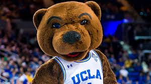 Utilize this website as a resource as you navigate your first year as a bruin so that you can be aware of the vast opportunities and support services available to you. General Ucla