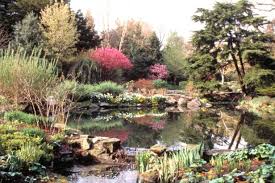 My two favourites are sedums and saxifraga. How To Create A Rock Garden Hgtv