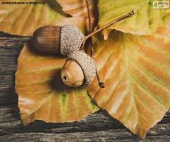If you're looking for free jigsaw puzzles to play, look no further than these five websites. Fall Autumn Puzzles Jigsaw