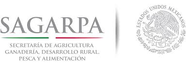 The original size of the image is 200 × 200 px and the original resolution is 300 dpi. File Sagarpa Logo 2012 Svg Wikimedia Commons
