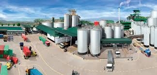 Update this listing add your free listing. Our Business Premium