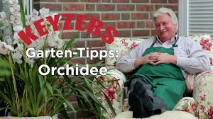 Theo Keyzers Garten Tipp Zu Orchideen Qvc Youtube