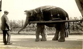 Archaeologists hunt for burial site of ...