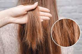 Nourish bleach damaged hair by giving it extra moisture and protein right after you bleach it. How To Treat Damaged Hair Properly Brillare Beauty Institute
