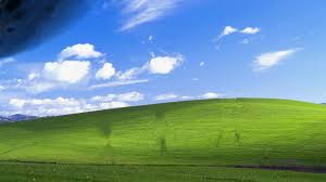 Windows Xp Wallpapers Hd 1920x1080 Wallpaper Cave Fawn pug and microsoft windows field wallpaper window, windows 10, microsoft windows, windows vista, windows xp.
