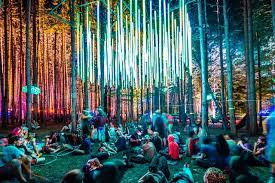 9 Of The Strangest Most Original Music Festivals From Around The World In 2020 Forest Festival Electric Forest Festival Electric Forest
