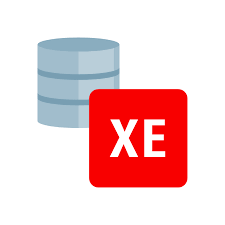 Launch the oracle client installer by clicking setup.exe. Oracle Database Express Edition