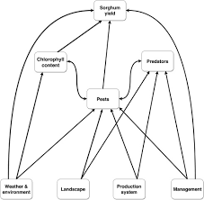 Get directions, reviews and information for a & b termite and pest control llc in new market, tn. High Agricultural Intensity At The Landscape Scale Benefits Pests But Low Intensity Practices At The Local Scale Can Mitigate These Effects Sciencedirect
