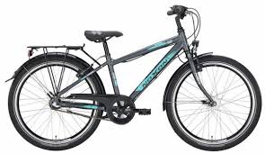 Noxon Rocket Nd Kinderfahrrad 20 30cm 3f Matt Grau Kaufen Bei Hbs
