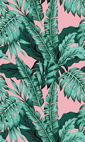 Check spelling or type a new query. Tropical Pink Background Background Phone Backgrounds Cute Backgrounds