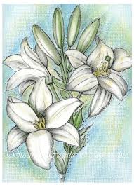 Vari temi, artisti, livelli di difficoltà e stili. Disegni Fiori Bianchi Coloring And Drawing
