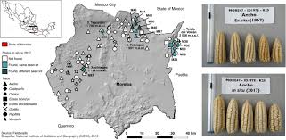 In the list of editing restrictions, click no changes (read only). Genetic Diversity And Selection Signatures In Maize Landraces Compared Across 50 Years Of In Situ And Ex Situ Conservation Heredity