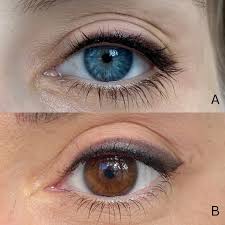 Discover The Perfect Eyeliner Tattoo Style For Your Eye Shape | DAELA