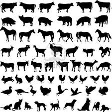 Big Collection Of Farm Animals Vector Animal Silhouette Animals Farm Animals