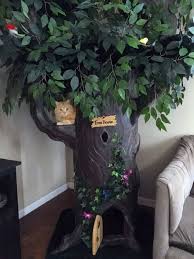 Here's a quick summary of our top 3 cat houses. Fantasy Cat Trees Fantasy Forest Cat Trees