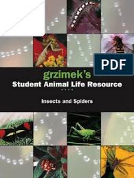 Paul maker / university of california, riverside). Grzimek S Salr Insects And Spiders Pdf Fossil Insects