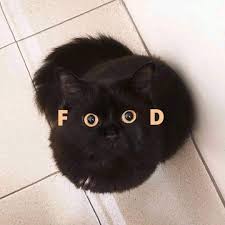 Jade addison apartments has everything you need. Cats Pictures Scrolller