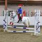 Weston Harriers Mini Champs Show Jumping Show event image
