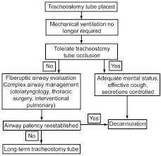 Tracheostomy Tubesdiscussion Respiratory Care