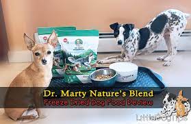 Dr Marty Nature S Blend Freeze Dried Food Review Little Dog Tips