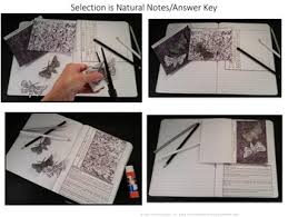 Compare the processes of natural and artificial selection. Science Interactive Notebook Evolution Natural Selection Adaptation