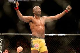 It was announced today that the spider was released from the. Anderson Silva 2020 Net Worth Salary And Endorsement