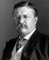 Teddy Roosevelt's Wild Ride to the Presidency