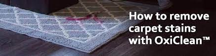 Apply only enough solution to saturate stain. How To Get Stains Out Of Carpet Oxiclean Stain Solutions