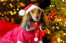 FLASHBACK FRIDAY... Plenty of style