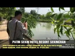 Best resort in mahé seychelles. Nak Rasa Patin Jom Ke Sekin Resort Sekinchan Youtube