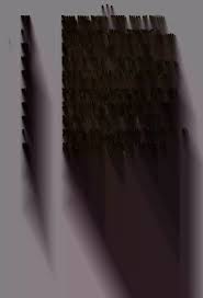 Image result for Pavetta hymenophylla