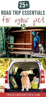 25 Useful Essentials You Need For An Epic Road Trip With Your Dog In 2020 Road Trip With Kids Road Trip Road Trip Fun