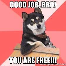 Check spelling or type a new query. Good Job Bro You Are Free Cool Dog Meme Generator