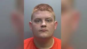 Carlisle bully who hit pregnant partner with bottle jailed