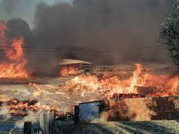 Incêndio em fábrica de paletes combatido por 65 bombeiros em tomar. Szsi99zo N1m3m