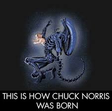 Pin By Jonathan Levine On Funny Chuck Norris Stuff Aliens Movie Chuck Norris Xenomorph