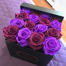 We're very happy with our purchases and will continue to purchase regularly. Venus Et Fleur Other Venus Et Fleur Poshmark