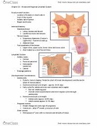 Data to support or verify them. Nsg 2317 Lecture Notes Fall 2017 Lecture 18 Physical Examination Biopsy Mastectomy