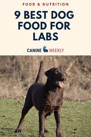 I use aafco's and fda's recommendations to go by, including for this list of best vet recommended dog foods. 9 Best Dog Food For Labs In 2021 Reviews And Buying Guide Healthy Dog Food Recipes Dog Food Recipes Best Dog Food