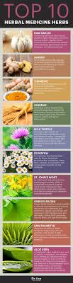 The Top 10 Herbal Medicine Herbs Herbalism Herbal Medicine Natural Health Remedies