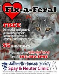 Neutering your male cat might be the best thing you ever do for him. 25 Spay Neuter Ideas Spay Neuter Your Pet