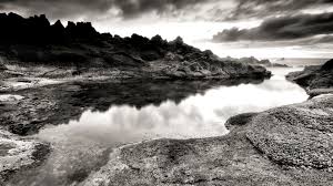 So in this article we are showcasing examples of black and white nature photography. Y2k Wallpaper Black And White Novocom Top