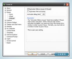 Image result for tweakui