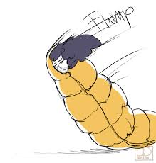 Shota aizawa is a supporting character from the highly acclaimed anime/manga series my hero academia. What The Lar Shouta Aizawa Collapsing Into His Sleeping Bag I